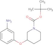 tert-Butyl 3-(3-aminophenoxy)piperidine-1-carboxylate