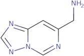 1-{[1,2,4]Triazolo[1,5-c]pyrimidin-7-yl}methanamine