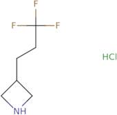 3-(3,3,3-Trifluoropropyl)azetidine hydrochloride