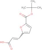 (2E)-3-{5-[(tert-Butoxy)carbonyl]furan-2-yl}prop-2-enoic acid