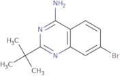 7-Bromo-2-tert-butylquinazolin-4-amine