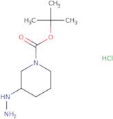 tert-Butyl 3-hydrazinylpiperidine-1-carboxylate hydrochloride