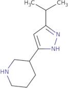 3-[3-(Propan-2-yl)-1H-pyrazol-5-yl]piperidine