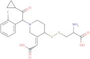 R-119251 (Prasugrel metabolite)