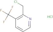 2-(Chloromethyl)-3-(trifluoromethyl)pyridine hydrochloride