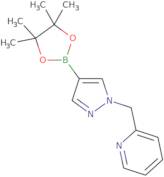 1-(pyridin-2-ylmethyl)-1H-pyrazole-4-boronic acid pinacol ester