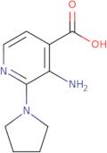 3-Amino-2-(pyrrolidin-1-yl)pyridine-4-carboxylic acid