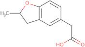 2-(2-Methyl-2,3-dihydro-1-benzofuran-5-yl)acetic acid