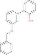 2-(3-Benzyloxyphenyl)phenol