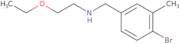 [(4-Bromo-3-methylphenyl)methyl](2-ethoxyethyl)amine