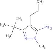 3-tert-Butyl-1-methyl-4-propyl-1H-pyrazol-5-amine