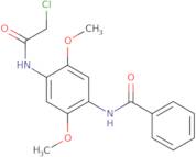 N-[4-(2-Chloroacetamido)-2,5-dimethoxyphenyl]benzamide