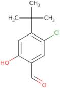 4-tert-Butyl-5-chloro-2-hydroxy-benzaldehyde