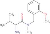 4-Nitro-2-(pyrrolidin-1-yl)pyridine