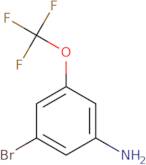 3-Bromo-5-(trifluoromethoxy)aniline