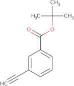 tert-Butyl 3-ethynylbenzoate