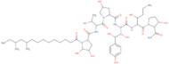 5-Des(2-aminoethylamino)-5-hydroxy-4,5-seco-5,9-cyclo caspofungin