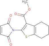 Methyl 2-(2,5-dioxo-2,5-dihydro-1H-pyrrol-1-yl)-4,5,6,7-tetrahydro-1-benzothiophene-3-carboxylate