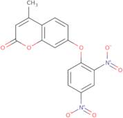 7-(2,4-Dinitrophenoxy)-4-methyl-2H-chromen-2-one