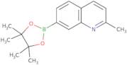 2-Methylquinoline-7-boronic acid pinacol ester