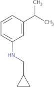 N-(Cyclopropylmethyl)-3-(propan-2-yl)aniline