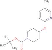 4-(5-Methyl-pyridin-2-yloxy)-piperidine-1-carboxylic acid tert-butyl ester