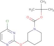 tert-Butyl 3-((4-chloropyrimidin-2-yl)oxy)piperidine-1-carboxylate