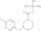 3-(6-Chloro-pyridazin-3-yloxy)-piperidine-1-carboxylic acid tert-butyl ester