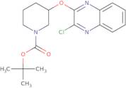 3-(3-Chloro-quinoxalin-2-yloxy)-piperidine-1-carboxylic acid tert-butyl ester