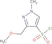 3-(Methoxymethyl)-1-methyl-1H-pyrazole-4-sulfonyl chloride