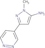 1-Methyl-3-(pyridazin-4-yl)-1H-pyrazol-5-amine
