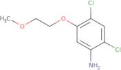 2,4-Dichloro-5-(2-methoxyethoxy)aniline