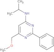 6-(Methoxymethyl)-2-phenyl-N-(propan-2-yl)pyrimidin-4-amine