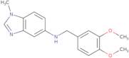 (3,4-Dimethoxy-benzyl)-(1-methyl-1H-benzoimidazol-5-yl)-amine