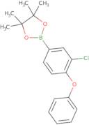 2-[3-(4-Chlorophenoxy)phenyl]-4,4,5,5-tetramethyl-1,3,2-dioxaborolane