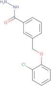 3-(2-Chloro-phenoxymethyl)-benzoic acid hydrazide