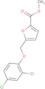 5-(2,4-Dichloro-phenoxymethyl)-furan-2-carboxylic acid methyl ester