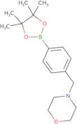 4-(4-Morpholinomethyl)phenylboronic acid pinacol ester
