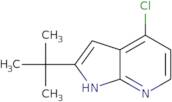 2-tert-Butyl-4-chloro-1H-pyrrolo[2,3-b]pyridine