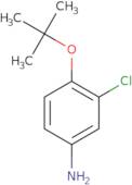 4-(tert-Butoxy)-3-chloroaniline