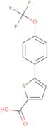 5-[4-(Trifluoromethoxy)phenyl]thiophene-2-carboxylic acid