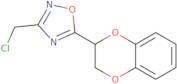 3-(Chloromethyl)-5-(2,3-dihydro-1,4-benzodioxin-2-yl)-1,2,4-oxadiazole