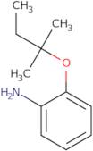 2-[(2-Methylbutan-2-yl)oxy]aniline