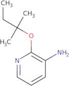 2-(2-Methylbutan-2-yloxy)pyridin-3-amine