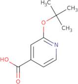 2-(tert-Butoxy)pyridine-4-carboxylic acid