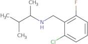 N-[(2-Chloro-6-fluorophenyl)methyl]-3-methylbutan-2-amine