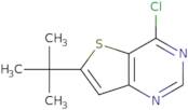 6-(tert-Butyl)-4-chlorothieno[3,2-d]pyrimidine