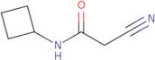 2-Cyano-N-cyclobutyl-acetamide