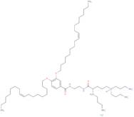 N1-[2-((1S)-1-[(3-Aminopropyl)amino]-4-[di(3-amino-propyl)amino]butylcarboxamido)ethyl]-3,4-di[o...