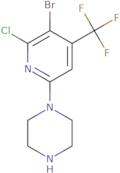 1-[5-Bromo-6-chloro-4-(trifluoromethyl)pyridin-2-yl]piperazine